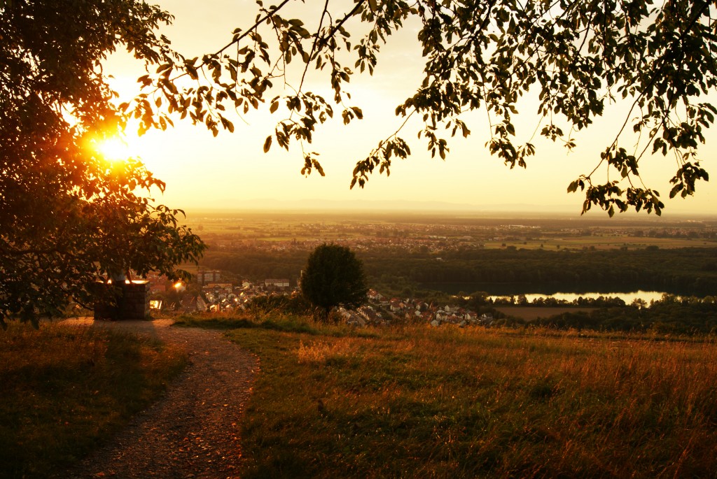 Michaelsberg Untergrombach